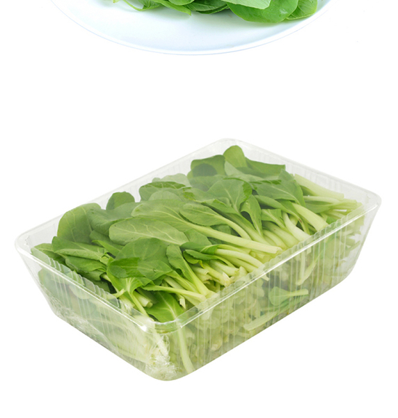 鸡毛菜250g - 无锡益家康生态农业有限公司